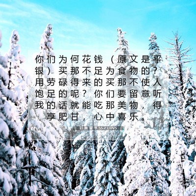 Picture 07 - 以 赛 亚 书 55:2 CUVS - 你 们 为 何 花 钱 （ 原 文 是 平 银 - Bible Verse Picture