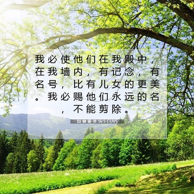 Picture 07 - 以 赛 亚 书 56:5 CUVS - 我 必 使 他 们 在 我 殿 中 ， 在 我 - Bible Verse Picture