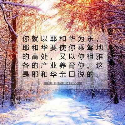 Picture 07 - 以 赛 亚 书 58:14 CUVS - 你 就 以 耶 和 华 为 乐 。 耶 和 华 - Bible Verse Picture
