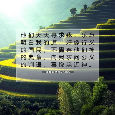 Picture 07 - 以 赛 亚 书 58:2 CUVS - 他 们 天 天 寻 求 我 ， 乐 意 明 白 - Bible Verse Picture
