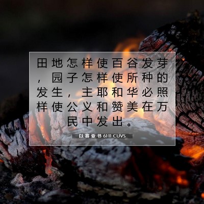 Picture 07 - 以 赛 亚 书 61:11 CUVS - 田 地 怎 样 使 百 谷 发 芽 ， 园 子 - Bible Verse Picture