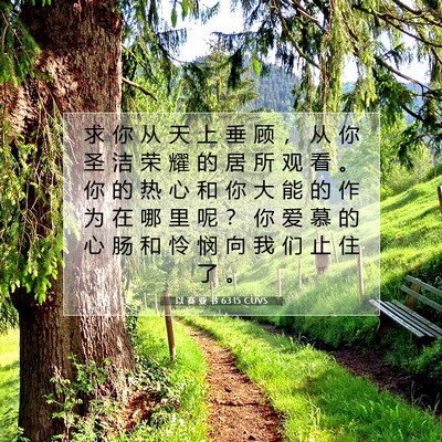 Picture 07 - 以 赛 亚 书 63:15 CUVS - 求 你 从 天 上 垂 顾 ， 从 你 圣 洁 - Bible Verse Picture
