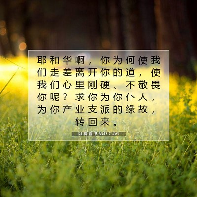 Picture 07 - 以 赛 亚 书 63:17 CUVS - 耶 和 华 啊 ， 你 为 何 使 我 们 走 - Bible Verse Picture