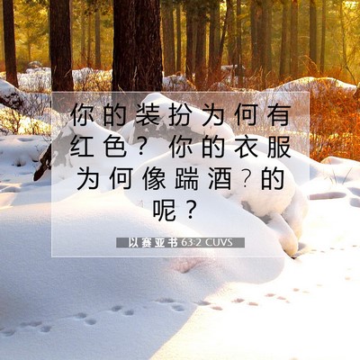 Picture 07 - 以 赛 亚 书 63:2 CUVS - 你 的 装 扮 为 何 有 红 色 ？ 你 的 - Bible Verse Picture