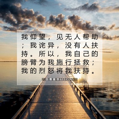Picture 07 - 以 赛 亚 书 63:5 CUVS - 我 仰 望 ， 见 无 人 帮 助 ； 我 诧 - Bible Verse Picture