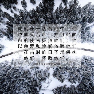 Picture 07 - 以 赛 亚 书 63:9 CUVS - 他 们 在 一 切 苦 难 中 ， 他 也 同 - Bible Verse Picture