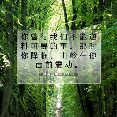 Picture 07 - 以 赛 亚 书 64:3 CUVS - 你 曾 行 我 们 不 能 逆 料 可 畏 的 - Bible Verse Picture