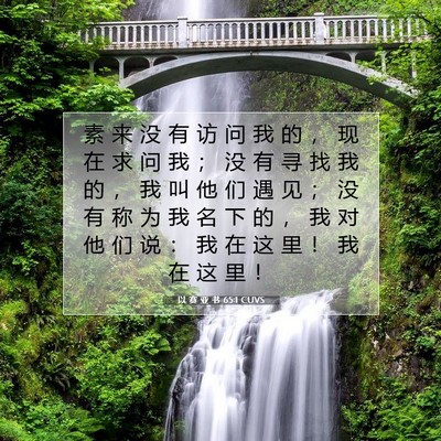 Picture 07 - 以 赛 亚 书 65:1 CUVS - 素 来 没 有 访 问 我 的 ， 现 在 求 - Bible Verse Picture