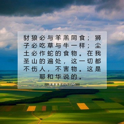 Picture 07 - 以 赛 亚 书 65:25 CUVS - 豺 狼 必 与 羊 羔 同 食 ； 狮 子 必 - Bible Verse Picture