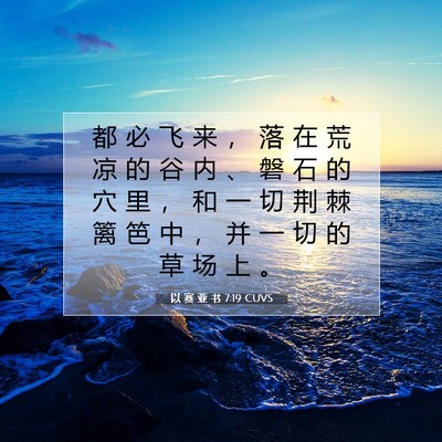 Picture 07 - 以 赛 亚 书 7:19 CUVS - 都 必 飞 来 ， 落 在 荒 凉 的 谷 内 - Bible Verse Picture