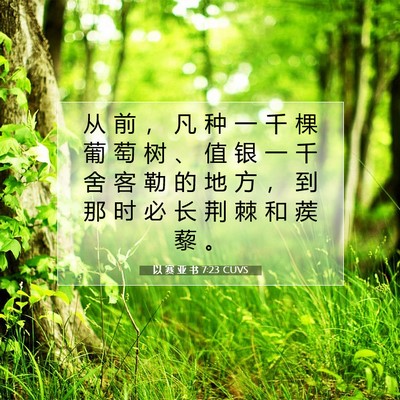 Picture 07 - 以 赛 亚 书 7:23 CUVS - 从 前 ， 凡 种 一 千 棵 葡 萄 树 、 - Bible Verse Picture