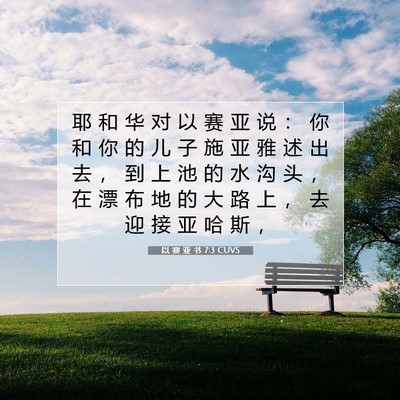 Picture 07 - 以 赛 亚 书 7:3 CUVS - 耶 和 华 对 以 赛 亚 说 ： 你 和 你 - Bible Verse Picture
