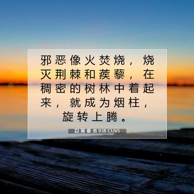 Picture 07 - 以 赛 亚 书 9:18 CUVS - 邪 恶 像 火 焚 烧 ， 烧 灭 荆 棘 和 - Bible Verse Picture