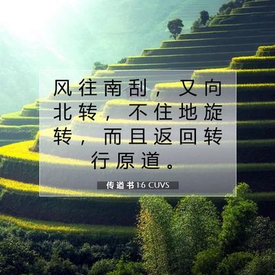 Picture 07 - 传 道 书 1:6 CUVS - 风 往 南 刮 ， 又 向 北 转 ， 不 住 - Bible Verse Picture