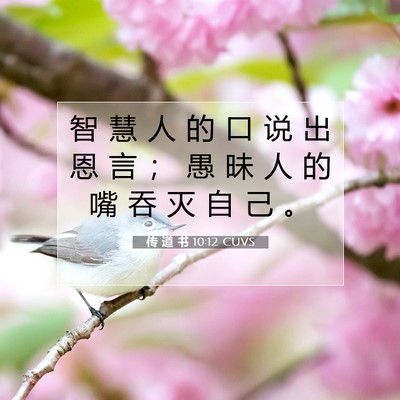 Picture 07 - 传 道 书 10:12 CUVS - 智 慧 人 的 口 说 出 恩 言 ； 愚 昧 - Bible Verse Picture