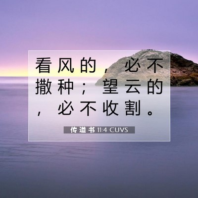 Picture 07 - 传 道 书 11:4 CUVS - 看 风 的 ， 必 不 撒 种 ； 望 云 的 - Bible Verse Picture