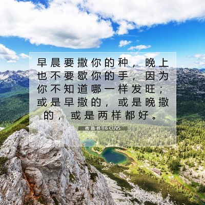 Picture 07 - 传 道 书 11:6 CUVS - 早 晨 要 撒 你 的 种 ， 晚 上 也 不 - Bible Verse Picture