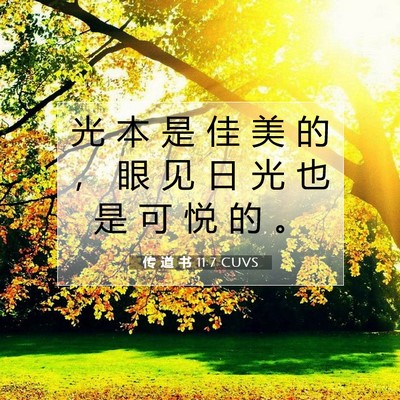 Picture 07 - 传 道 书 11:7 CUVS - 光 本 是 佳 美 的 ， 眼 见 日 光 也 - Bible Verse Picture