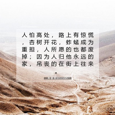 Picture 07 - 传 道 书 12:5 CUVS - 人 怕 高 处 ， 路 上 有 惊 慌 ， 杏 - Bible Verse Picture