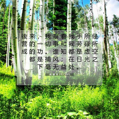 Picture 07 - 传 道 书 2:11 CUVS - 後 来 ， 我 察 看 我 手 所 经 营 的 - Bible Verse Picture