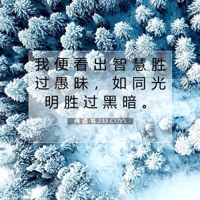 Picture 07 - 传 道 书 2:13 CUVS - 我 便 看 出 智 慧 胜 过 愚 昧 ， 如 - Bible Verse Picture