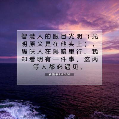 Picture 07 - 传 道 书 2:14 CUVS - 智 慧 人 的 眼 目 光 明 （ 光 明 原 - Bible Verse Picture