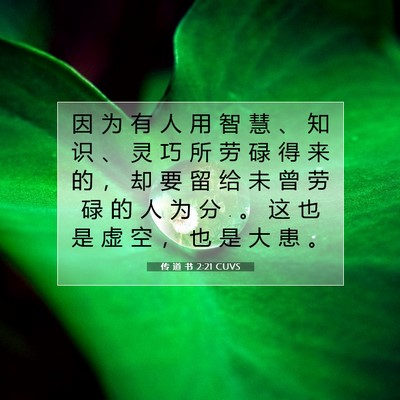 Picture 07 - 传 道 书 2:21 CUVS - 因 为 有 人 用 智 慧 、 知 识 、 灵 - Bible Verse Picture