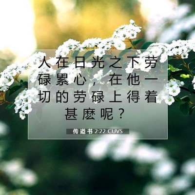 Picture 07 - 传 道 书 2:22 CUVS - 人 在 日 光 之 下 劳 碌 累 心 ， 在 - Bible Verse Picture