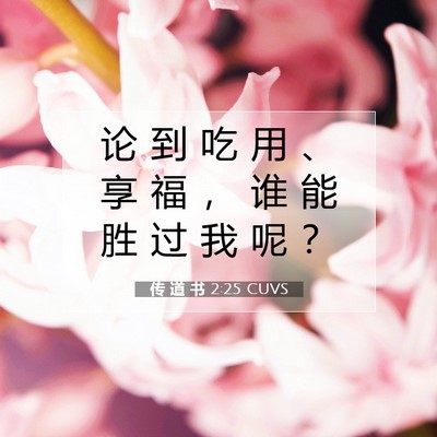Picture 07 - 传 道 书 2:25 CUVS - 论 到 吃 用 、 享 福 ， 谁 能 胜 过 - Bible Verse Picture
