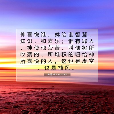 Picture 07 - 传 道 书 2:26 CUVS - 神 喜 悦 谁 ， 就 给 谁 智 慧 、 知 - Bible Verse Picture
