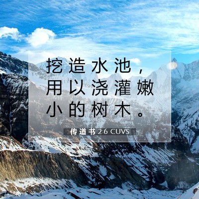 Picture 07 - 传 道 书 2:6 CUVS - 挖 造 水 池 ， 用 以 浇 灌 嫩 小 的 - Bible Verse Picture
