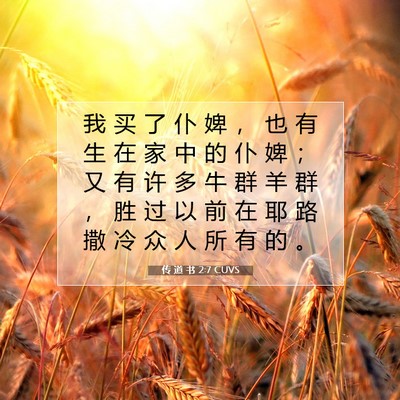 Picture 07 - 传 道 书 2:7 CUVS - 我 买 了 仆 婢 ， 也 有 生 在 家 中 - Bible Verse Picture
