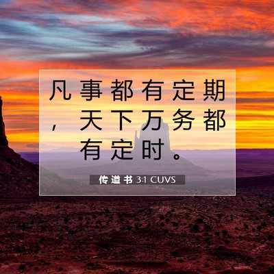 Picture 07 - 传 道 书 3:1 CUVS - 凡 事 都 有 定 期 ， 天 下 万 务 都 - Bible Verse Picture