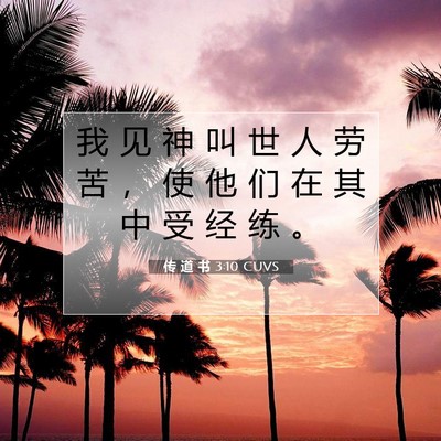 Picture 07 - 传 道 书 3:10 CUVS - 我 见 神 叫 世 人 劳 苦 ， 使 他 们 - Bible Verse Picture