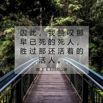 Picture 07 - 传 道 书 4:2 CUVS - 因 此 ， 我 赞 叹 那 早 已 死 的 死 - Bible Verse Picture