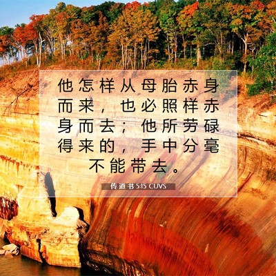 Picture 07 - 传 道 书 5:15 CUVS - 他 怎 样 从 母 胎 赤 身 而 来 ， 也 - Bible Verse Picture