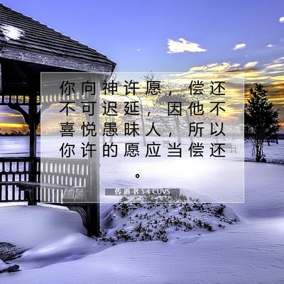 Picture 07 - 传 道 书 5:4 CUVS - 你 向 神 许 愿 ， 偿 还 不 可 迟 延 - Bible Verse Picture