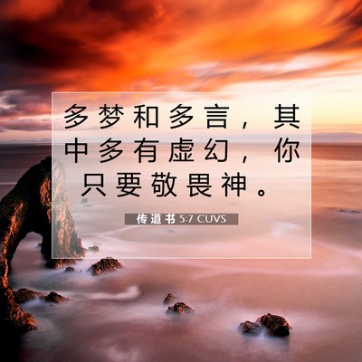 Picture 07 - 传 道 书 5:7 CUVS - 多 梦 和 多 言 ， 其 中 多 有 虚 幻 - Bible Verse Picture