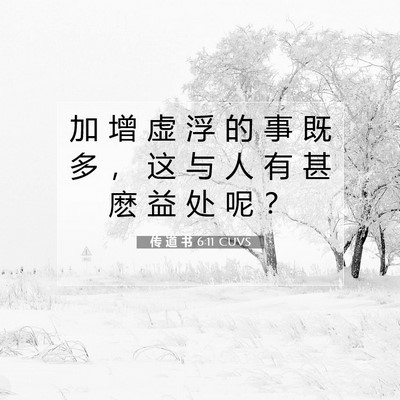 Picture 07 - 传 道 书 6:11 CUVS - 加 增 虚 浮 的 事 既 多 ， 这 与 人 - Bible Verse Picture