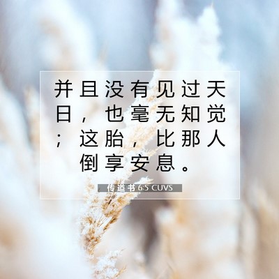 Picture 07 - 传 道 书 6:5 CUVS - 并 且 没 有 见 过 天 日 ， 也 毫 无 - Bible Verse Picture