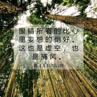 Picture 07 - 传 道 书 6:9 CUVS - 眼 睛 所 看 的 比 心 里 妄 想 的 倒 - Bible Verse Picture