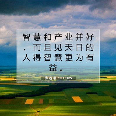 Picture 07 - 传 道 书 7:11 CUVS - 智 慧 和 产 业 并 好 ， 而 且 见 天 - Bible Verse Picture