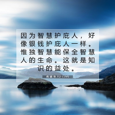 Picture 07 - 传 道 书 7:12 CUVS - 因 为 智 慧 护 庇 人 ， 好 像 银 钱 - Bible Verse Picture