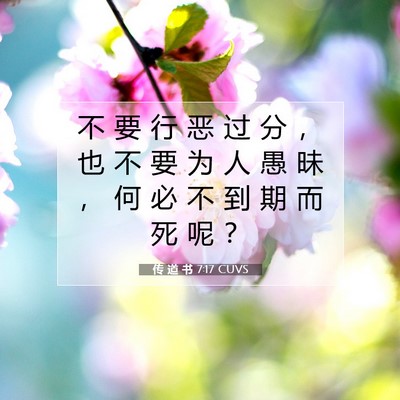 Picture 07 - 传 道 书 7:17 CUVS - 不 要 行 恶 过 分 ， 也 不 要 为 人 - Bible Verse Picture