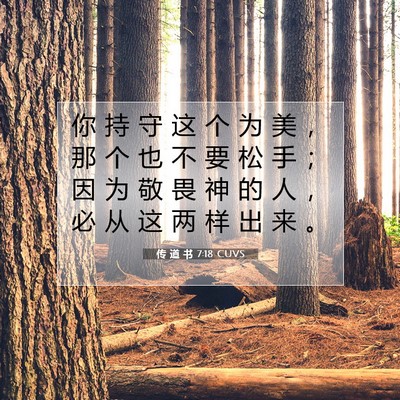 Picture 07 - 传 道 书 7:18 CUVS - 你 持 守 这 个 为 美 ， 那 个 也 不 - Bible Verse Picture
