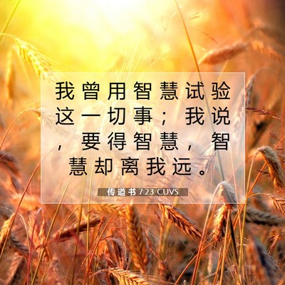 Picture 07 - 传 道 书 7:23 CUVS - 我 曾 用 智 慧 试 验 这 一 切 事 ； - Bible Verse Picture