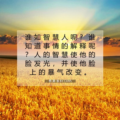 Picture 07 - 传 道 书 8:1 CUVS - 谁 如 智 慧 人 呢 ？ 谁 知 道 事 情 - Bible Verse Picture