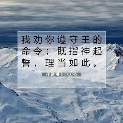 Picture 07 - 传 道 书 8:2 CUVS - 我 劝 你 遵 守 王 的 命 令 ； 既 指 - Bible Verse Picture