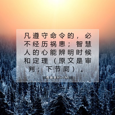 Picture 07 - 传 道 书 8:5 CUVS - 凡 遵 守 命 令 的 ， 必 不 经 历 祸 - Bible Verse Picture