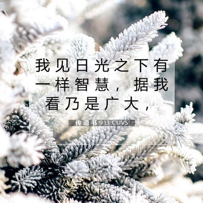 Picture 07 - 传 道 书 9:13 CUVS - 我 见 日 光 之 下 有 一 样 智 慧 ， - Bible Verse Picture